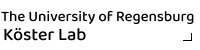 Univ Regensburg Moritz Koster's lab