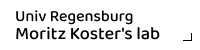 Univ Regensburg Moritz Koster's lab